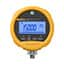 FLUKE-700RG31